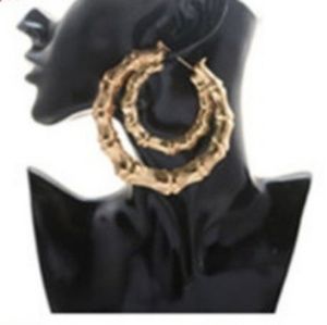 Large Double Circle Pierced Hoop Earrings